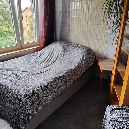 Oll Appartmant For In Apartment