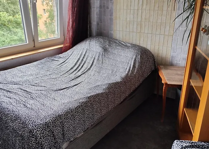 Oll Appartmant For In Apartment